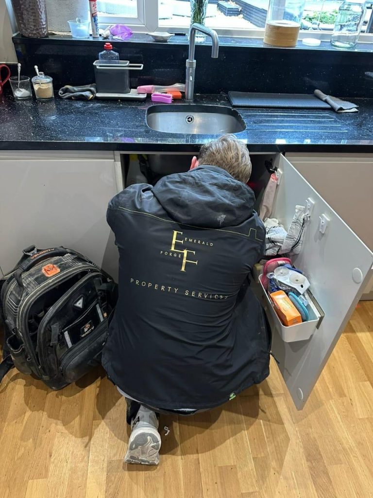 Emergency Plumbing Services in Loughton